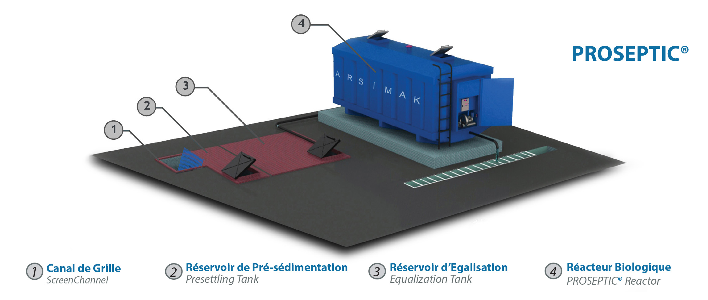 Proseptic 3D
